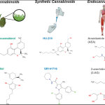 Cannabinoids