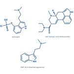 Psychedelics
